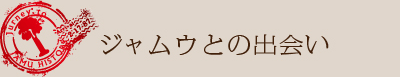「ジャムウ」との出会い