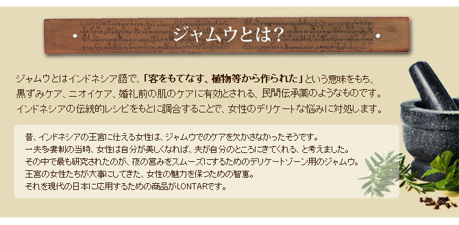 ロンタル ハーバル ジェルソープ