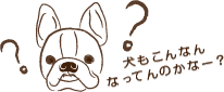 良い汗と悪い汗の特徴とは？