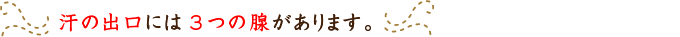 汗の出口には3つの腺があります。