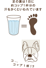 足のニオイ